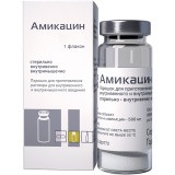 Купить амикацин, порошок для приготовления раствора для внутривенного и внутримышечного введения 1г, флакон в Дзержинске