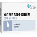Купить холина альфосцерат, раствор для внутривенного и внутримышечного введения 250мг/мл, ампулы 4мл, 5 шт в Дзержинске