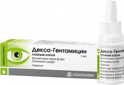 Купить декса-гентамицин, капли глазные, флакон-капельница 5мл в Дзержинске