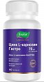 Купить цинк l-карнозин гастро, капсулы 60 шт бад в Дзержинске