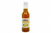 Купить сироп имбирный на фруктозе с лимоном доктор нутришин, флакон 250мл бад в Дзержинске