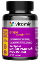 Купить витамир экстракт виноградной косточки 100 мг, капсулы 60шт бад в Дзержинске