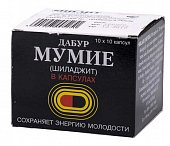 Купить мумие шиладжит, капсулы 265мг, 100 шт бад в Дзержинске
