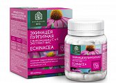 Купить эхинацея пурпурная с витаминами с и е экстракт вис, капсулы массой 350мг, 30 шт бад в Дзержинске
