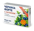 Купить черника форте с лютеином, капсулы 45 шт бад в Дзержинске