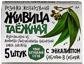 Купить живица таежная, жевательная резинка с эвкалиптом, 5 шт в Дзержинске