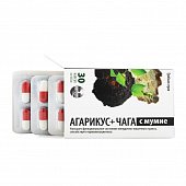 Купить агарикус+чага с мумие грибная серия, капсулы 450мг, 30 шт бад в Дзержинске