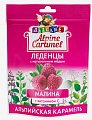 Купить alpine caramel (альпийская карамель) леденцы детские малина с медом и витамином с , 75г бад в Дзержинске