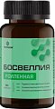 Купить босвеллия усиленная летофарм, капсулы 0,63г банка 60шт бад в Дзержинске