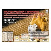 Купить пояс леонарда согревающий эластичный из шерсти верблюда размер xs (1) в Дзержинске