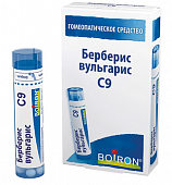 Купить берберис вульгарис с9 гранулы гомеопатические 4г в Дзержинске