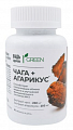 Купить агарикус+чага комплекс экстрактов грин будь здоров! таблетки массой 800мг 60шт бад в Дзержинске