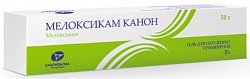 Купить мелоксикам-канон, гель для наружного применения, 1%, туба 50г в Дзержинске