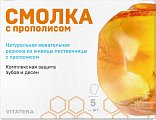 Купить витатека (vitateka) смолка жевательная лиственничная с прополисом, 5 шт  в Дзержинске