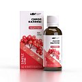 Купить abc healthy food (абс хелси фуд) сироп кардионорм с калиной, 250 мл бад в Дзержинске
