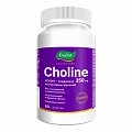 Купить холин 350мг, таблетки массой 1200мг 60 шт бад в Дзержинске