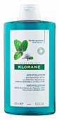 Купить klorane (клоран) шампунь-детокс с экстрактом водной мяты, 400мл в Дзержинске