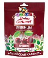 Купить alpine caramel (альпийская карамель) леденцы детские вишня с медом и витамином с , 75г бад в Дзержинске