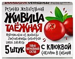 Купить живица таежная, жевательная резинка с клюквой, 5 шт в Дзержинске