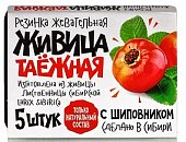 Купить живица таежная, жевательная резинка с шиповником, 5 шт в Дзержинске