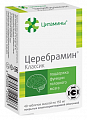 Купить цитамины церебрамин классик, таблетки покрытые кишечнорастворимой оболочкой массой 155мг, 40 шт бад в Дзержинске
