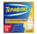 Купить терафлю от гриппа и простуды, порошок для приготовления раствора для приема внутрь, лимонный, пакетики 22,1г, 14 шт в Дзержинске