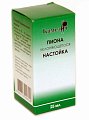Купить пиона настойка, флакон 25мл в Дзержинске