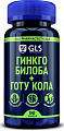 Купить gls (глс) гинкго билоба+готу кола, капсулы массой 380мг, 90шт бад в Дзержинске