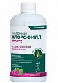 Купить snow sea хлорофилл форте жидкий со вкусом малины и мяты, 450 мл бад в Дзержинске