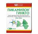 Купить пикамилон гинкго, капсулы 40мг+20мг, 50 шт в Дзержинске