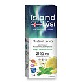Купить lysi (лиси) рыбий жир со вкусом лимона и мяты, флакон 240мл бад в Дзержинске