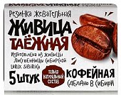 Купить живица таежная, жевательная резинка с экстрактом кофейных зёрен, 5 шт в Дзержинске