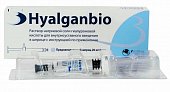 Купить гиалганбио (hyalganbio) раствор натриевой соли гиалуроновой кислоты для для внутрисуставного введения 20 мг/2 мл шприц 1 шт. в Дзержинске